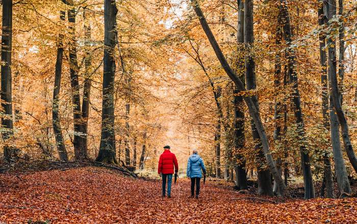 Two people walking a leaf-covered path through autumn woodland